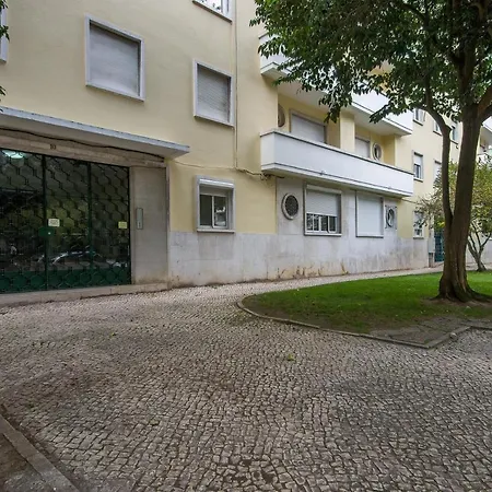 Pear Tree Pasteur Lisbon
